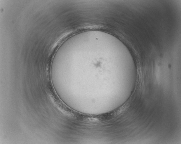 X0000051240159200507152133