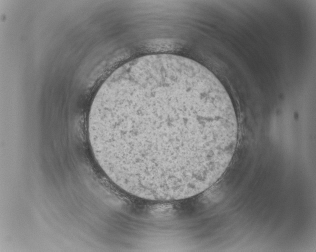 X0000051240162200507152133