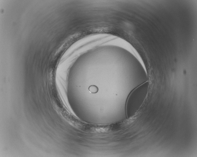 X0000051240163200507152133