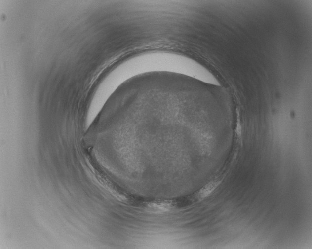 X0000051240164200507152133