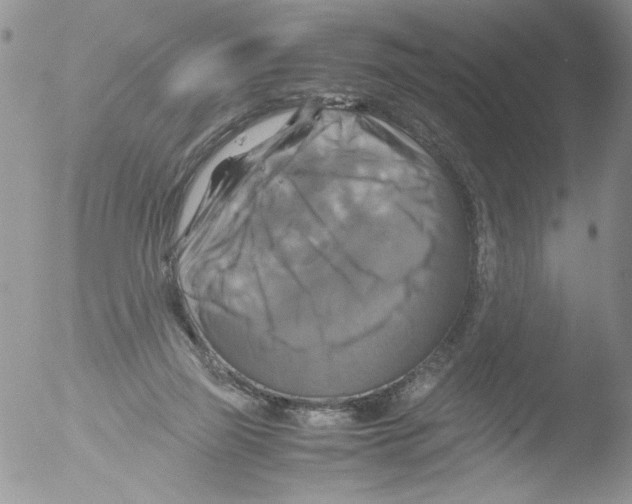 X0000051240165200507152133