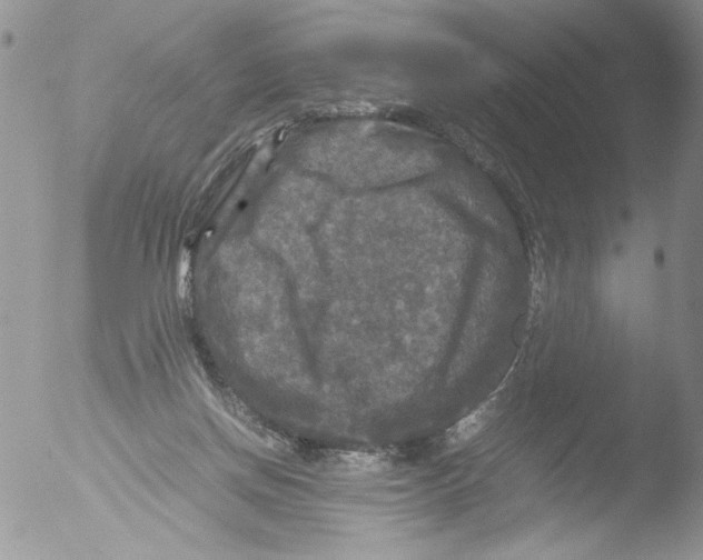 X0000051240166200507152133