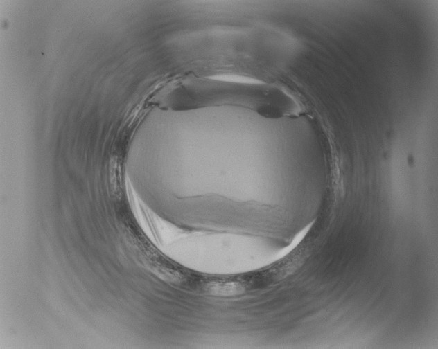 X0000051240169200507152133