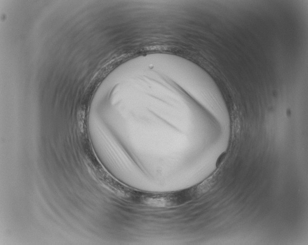 X0000051240171200507152133