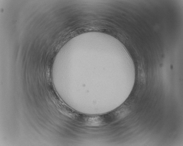 X0000051240173200507152133