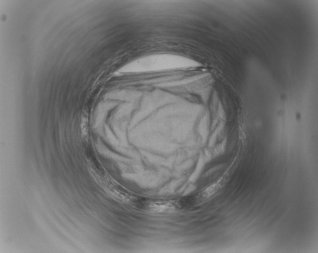 X0000051240175200507152133