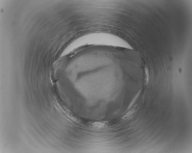 X0000051240176200507152133