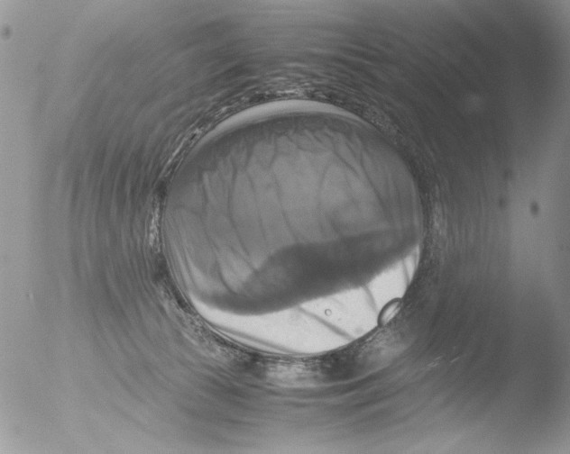 X0000051240177200507152133