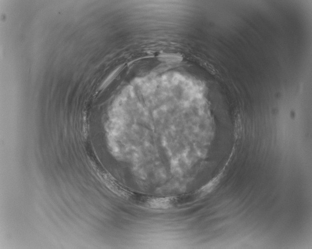 X0000051240178200507152133