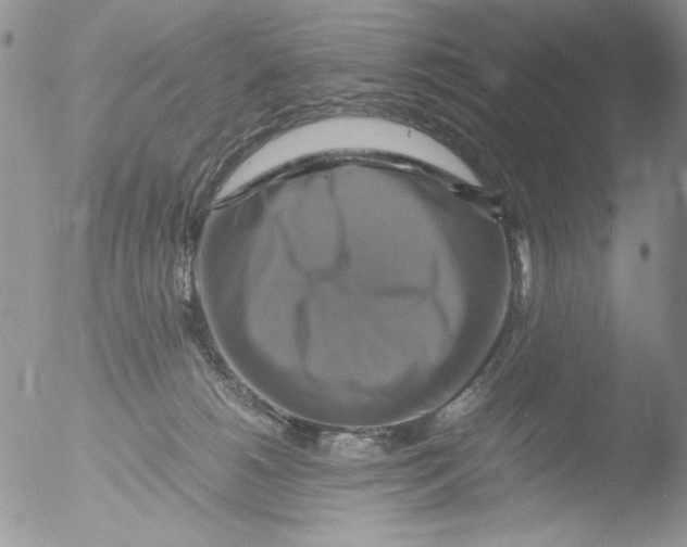 X0000051240180200507152133