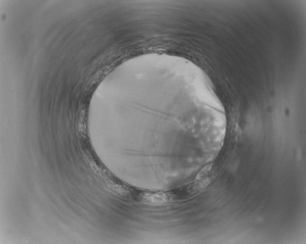 X0000051240181200507152133