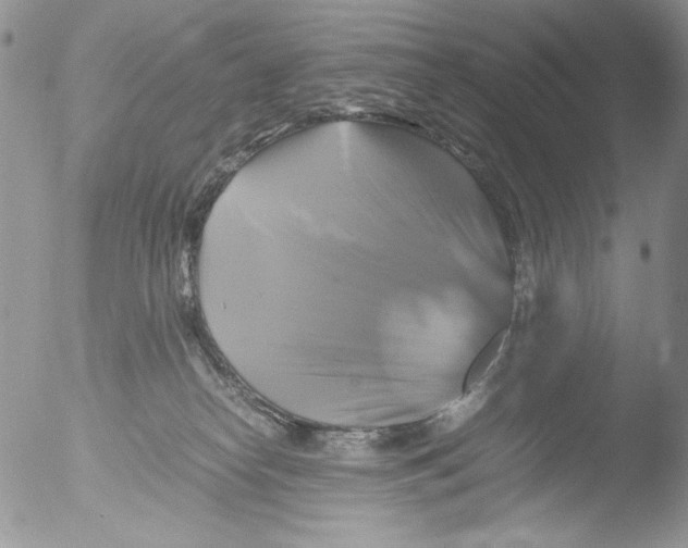 X0000051240182200507152133