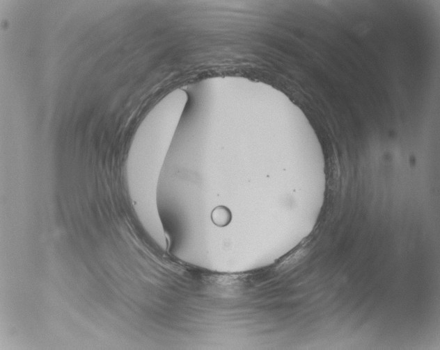 X0000051240184200507152133