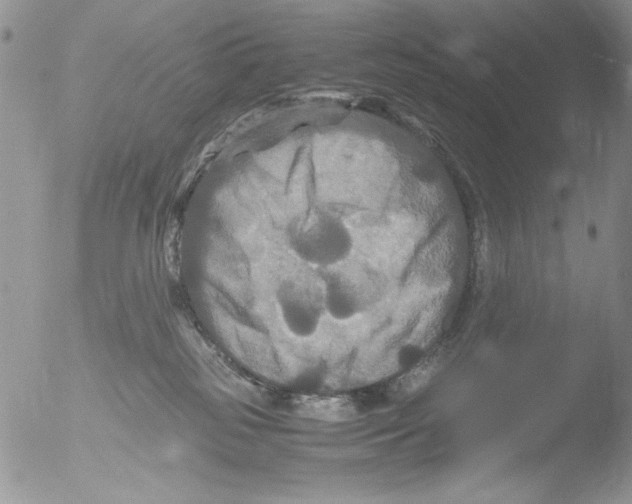 X0000051240185200507152133