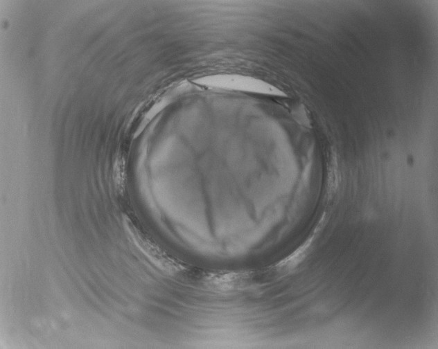 X0000051240186200507152133