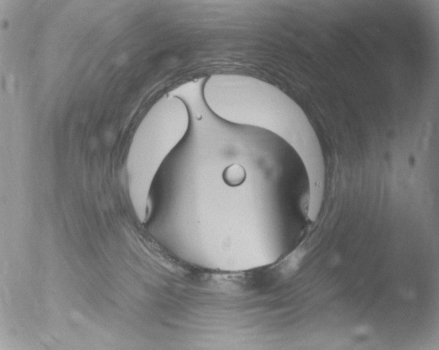 X0000051240188200507152133