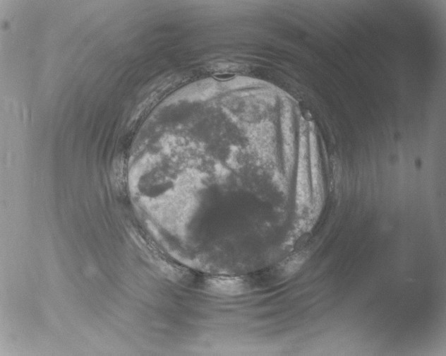 X0000051240189200507152133