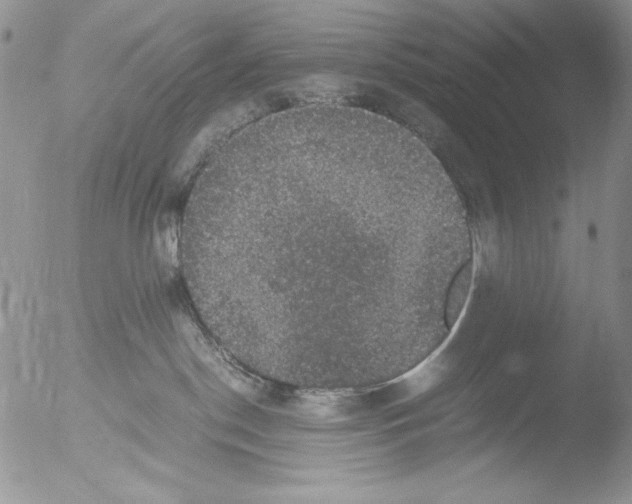 X0000051240190200507152133