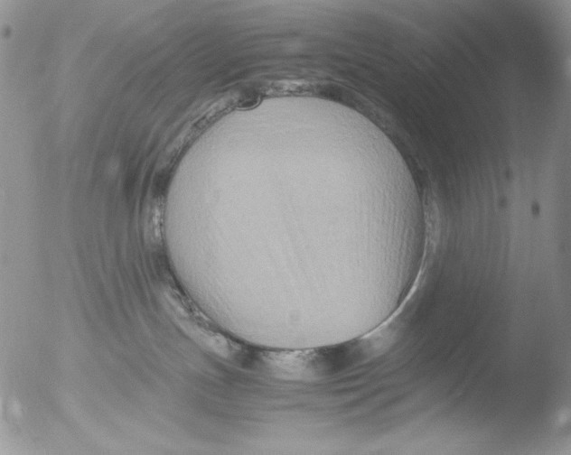 X0000051240191200507152133