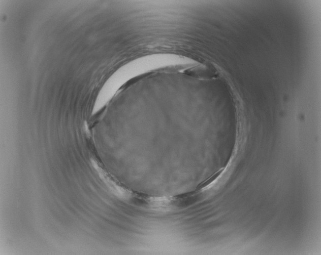 X0000051240192200507152133