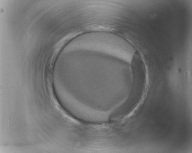 X0000051240193200507152132