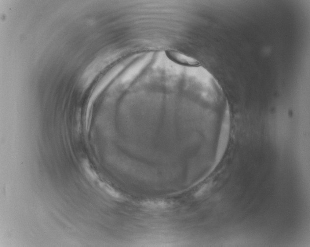 X0000051240194200507152132