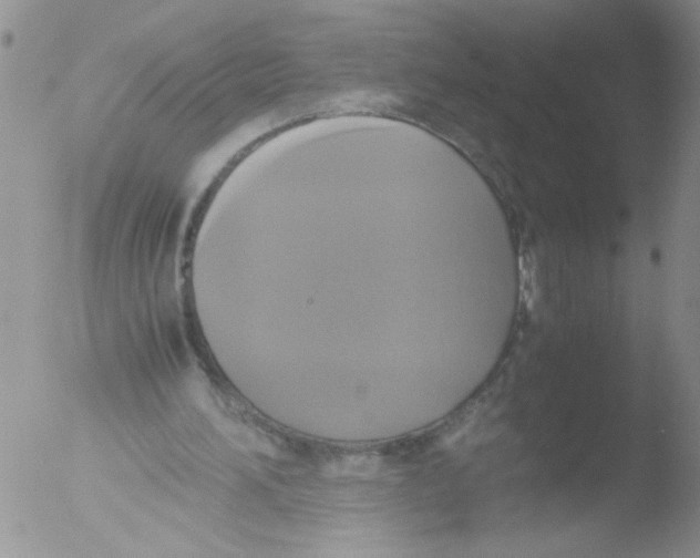 X0000051240196200507152132