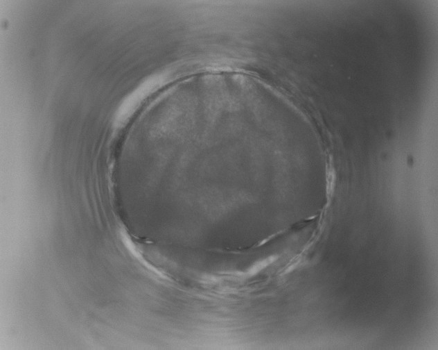 X0000051240197200507152132