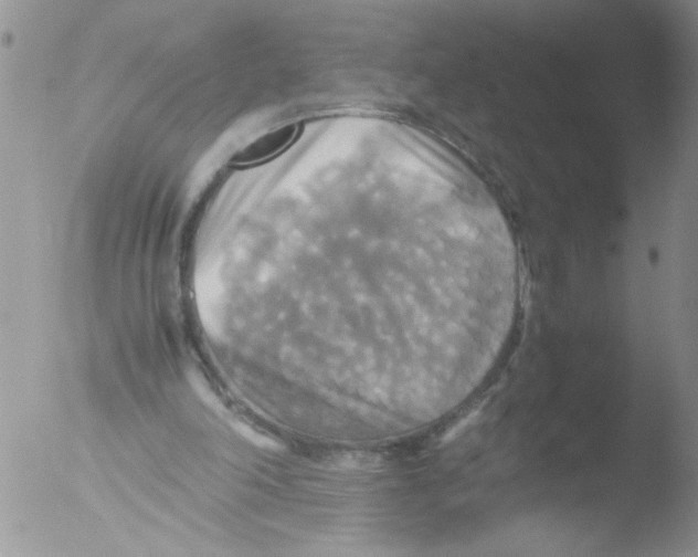 X0000051240198200507152132