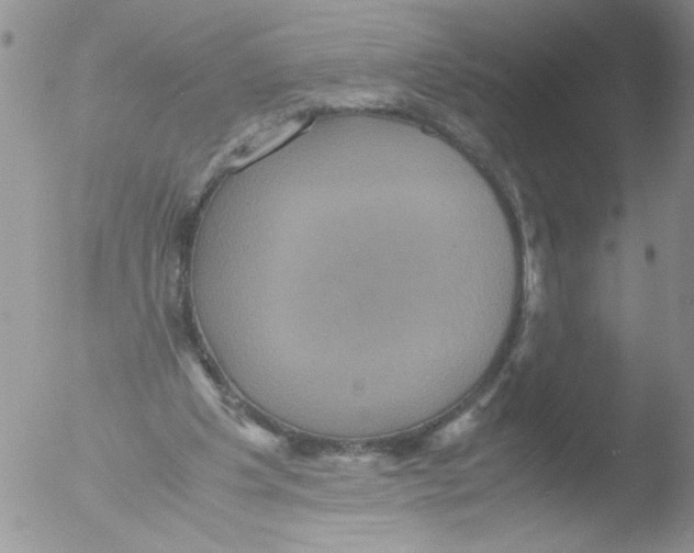 X0000051240201200507152132