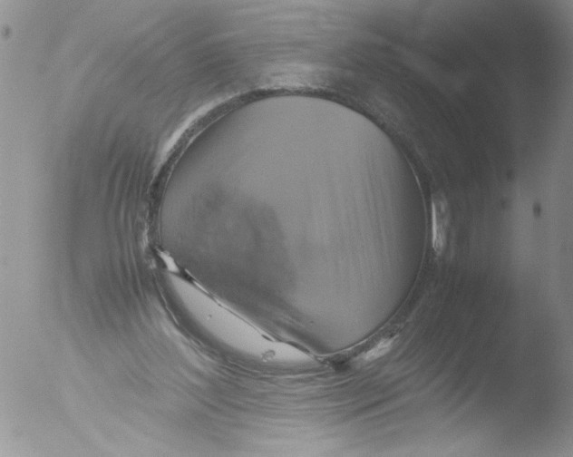 X0000051240204200507152132