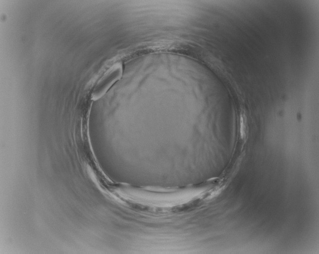 X0000051240205200507152132