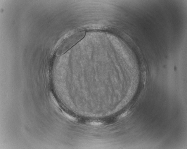 X0000051240207200507152132