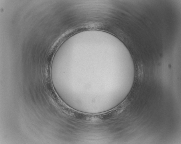 X0000051240208200507152132