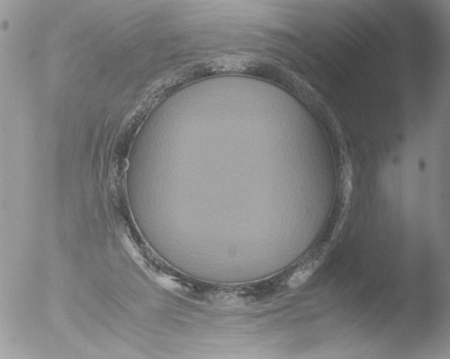 X0000051240209200507152132