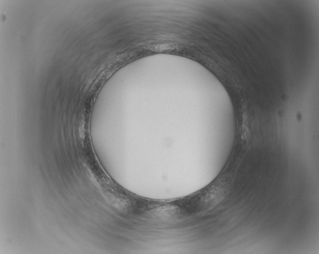 X0000051240210200507152132