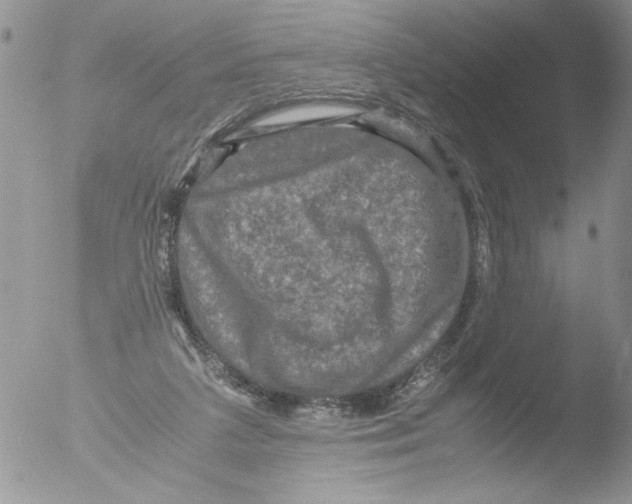 X0000051240211200507152132