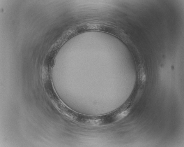 X0000051240213200507152132