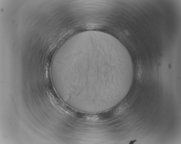 X0000051240214200507152132