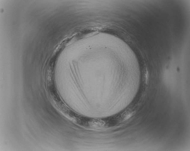 X0000051240215200507152132