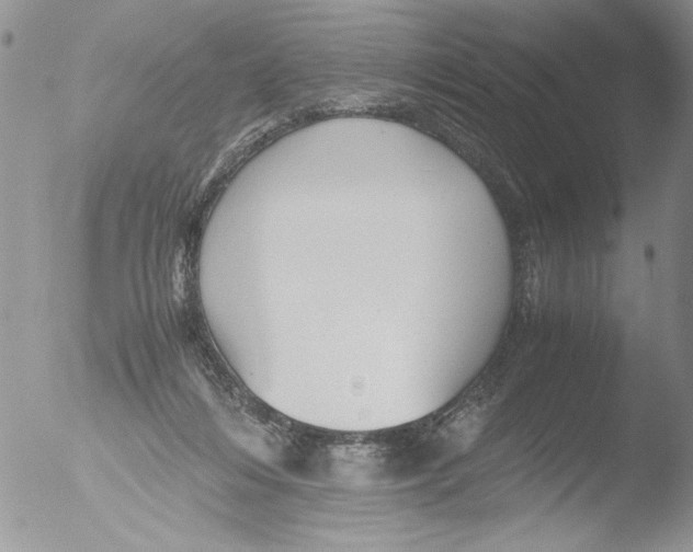 X0000051240216200507152132