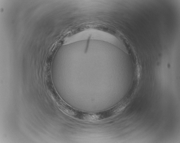 X0000051240217200507152132