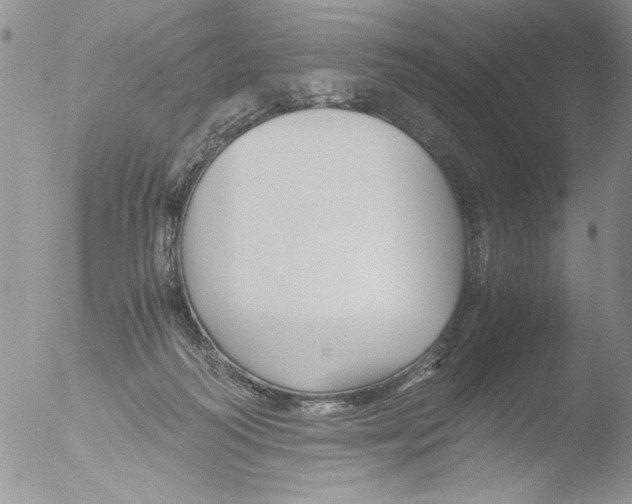 X0000051240218200507152132