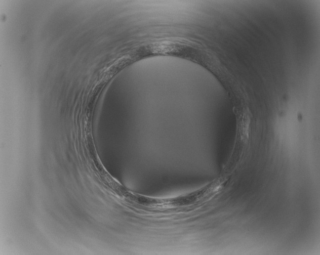 X0000051240219200507152132