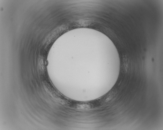 X0000051240220200507152132