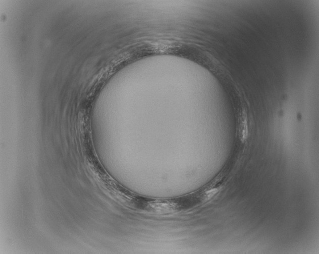 X0000051240221200507152132