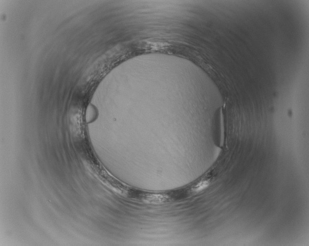 X0000051240222200507152132