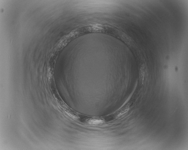 X0000051240223200507152132