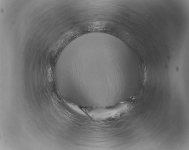 X0000051240224200507152132