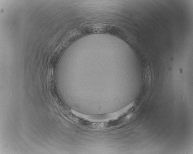 X0000051240225200507152132